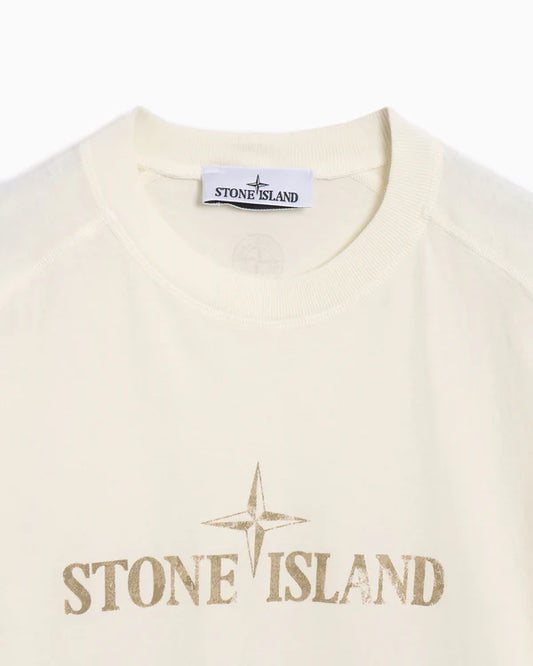 Stone Island ‘Institutional Two’ T-Shirt Ivory