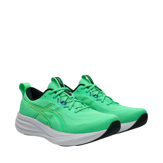 Asics Gel Pulse 17