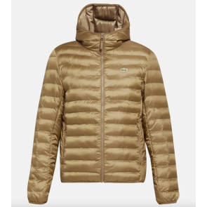 Lacoste - Quilted Puffed Jacket in Tan