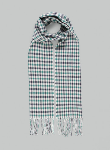 Aquascutum - Active Water Repellent Scarf (Green)