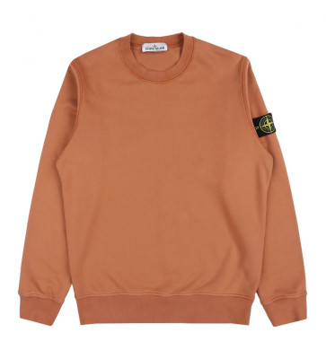Stone island ruggine sweatshirt 2025